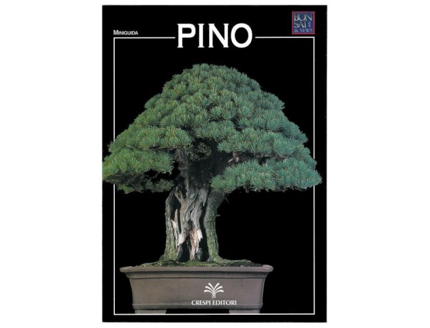 Pino - Miniguida BONSAI & news
