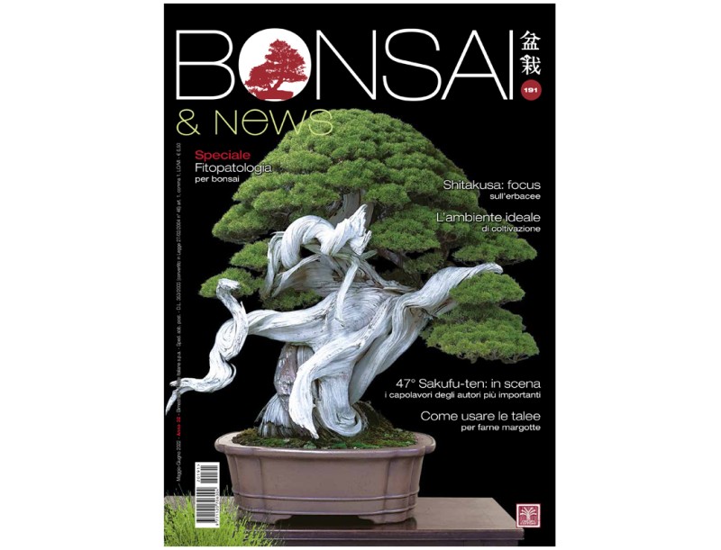 BONSAI & news 191 - Mai-Juin 2022