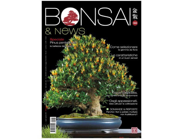 BONSAI & news 192 - Juillet-Août 2022