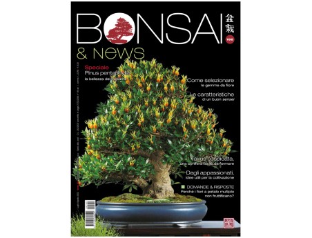 BONSAI & news 192 - Luglio-agosto 2022