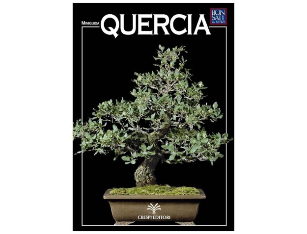 Quercia - Miniguida BONSAI & news