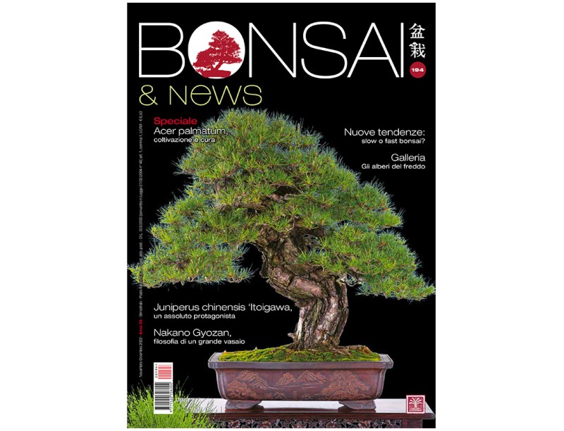 BONSAI & news 194 - Nov-Dec 2022