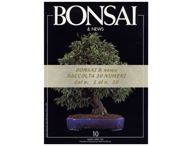Raccolta BONSAI & news - dal n°  1 al n° 10