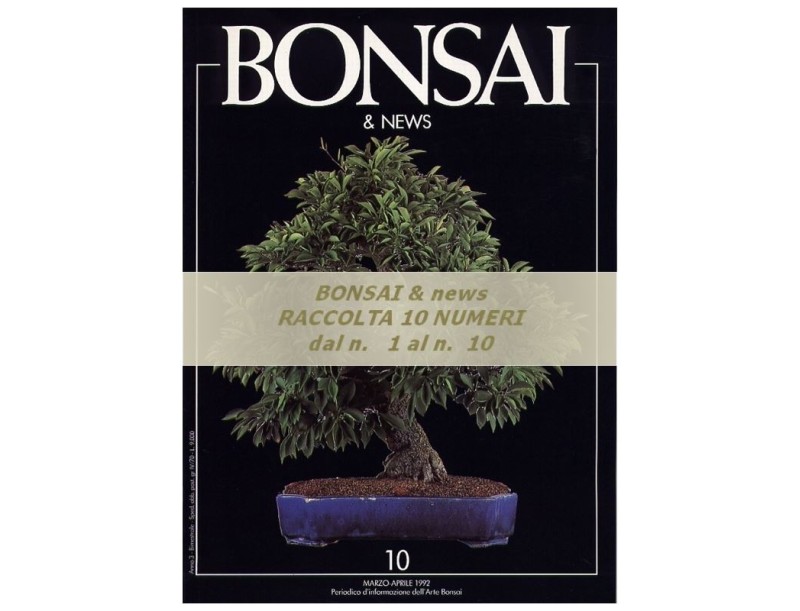 Raccolta BONSAI & news - dal n°  1 al n° 10