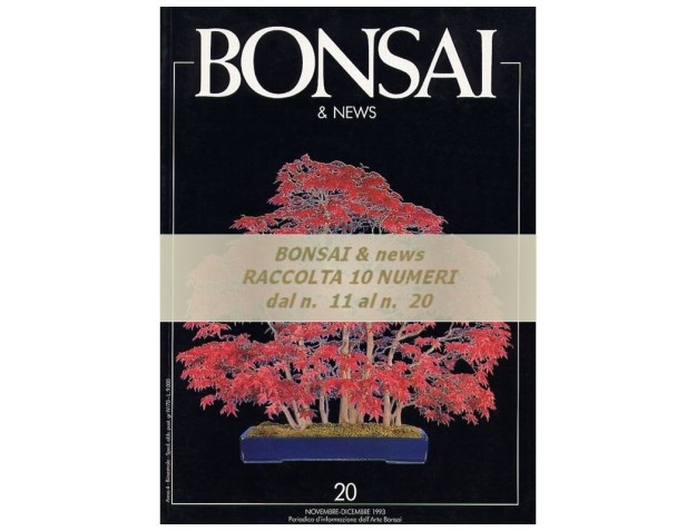 Raccolta BONSAI & news - dal n°  11 al n° 20