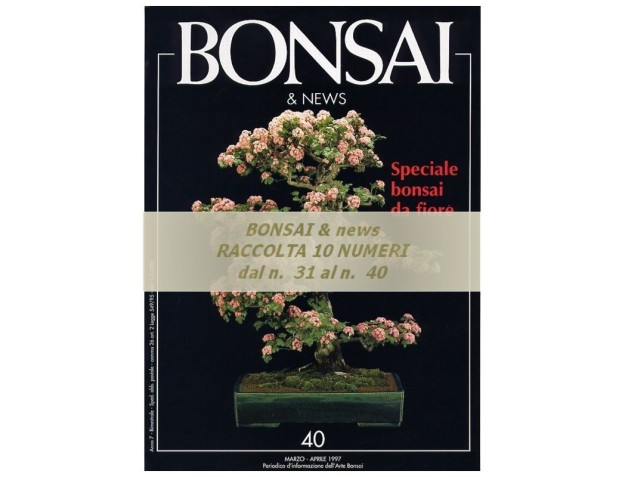 Raccolta BONSAI & news - dal n°  31 al n° 40