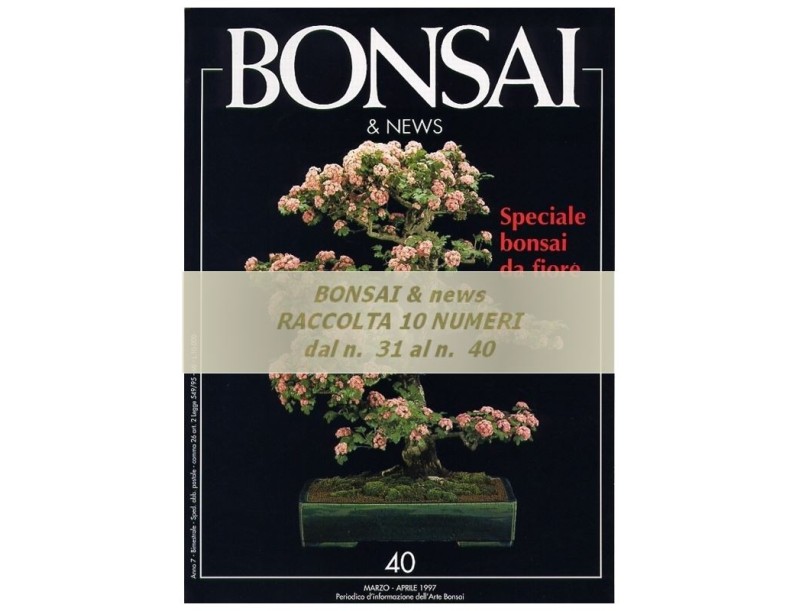 Raccolta BONSAI & news - dal n°  31 al n° 40