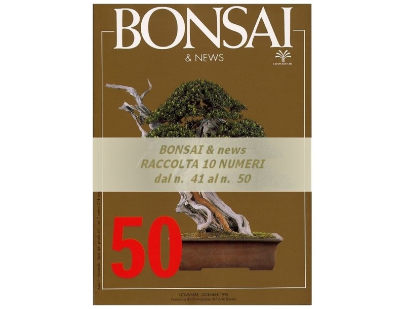 Raccolta BONSAI & news - dal n°  41 al n° 50