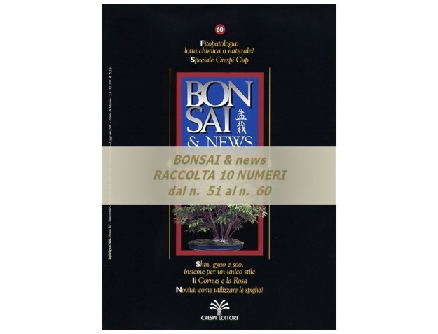 Raccolta BONSAI & news - dal n°  51 al n° 60