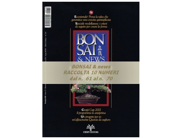 Raccolta BONSAI & news - dal n°  61 al n° 70