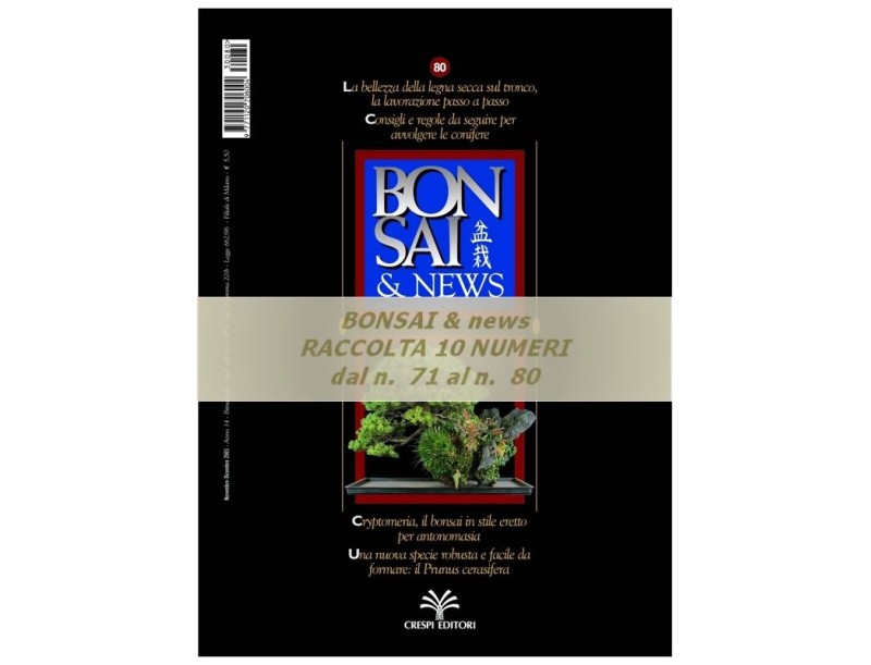 Raccolta BONSAI & news - dal n°  71 al n° 80