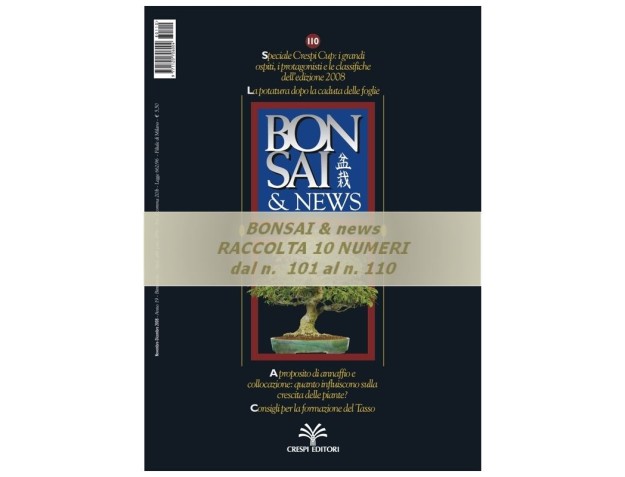 Raccolta BONSAI & news - dal n° 101 al n° 110