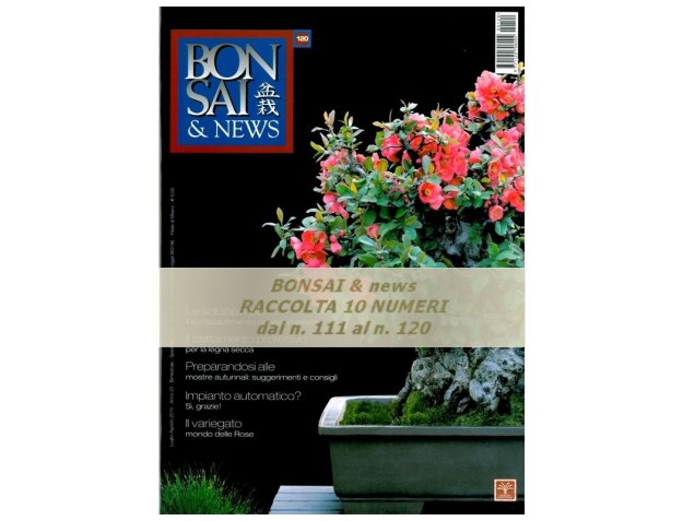 Raccolta BONSAI & news - dal n° 111 al n° 120
