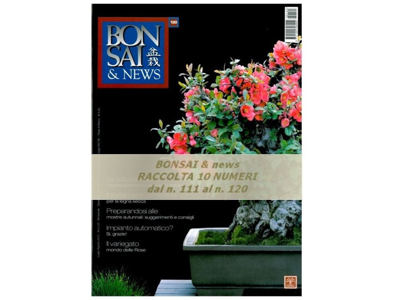 Raccolta BONSAI & news - dal n° 111 al n° 120