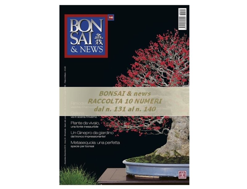 Raccolta BONSAI & news - dal n° 131 al n° 140
