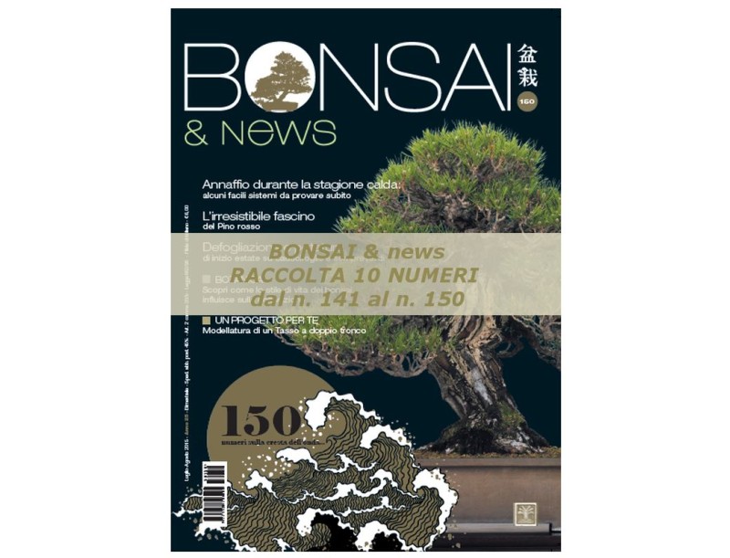 Raccolta BONSAI & news - dal n° 141 al n° 150
