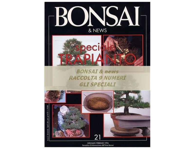 Raccolta BONSAI & news - numeri speciali