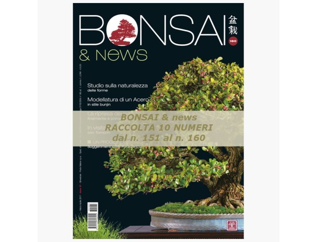 Raccolta BONSAI & news dal 151 al 160