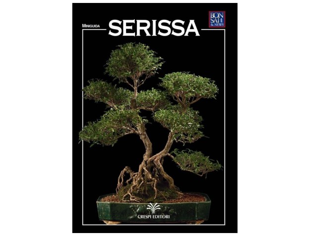 Serissa - Miniguida BONSAI & news