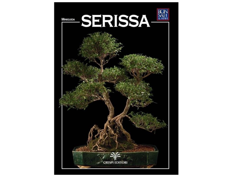 Serissa - Miniguida BONSAI & news