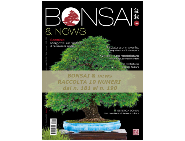 Raccolta BONSAI & news dal 181 al 190