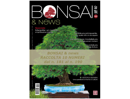 BONSAI & news du 181 au 190
