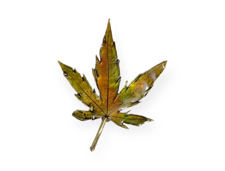 tenpai-medium-leaf-2