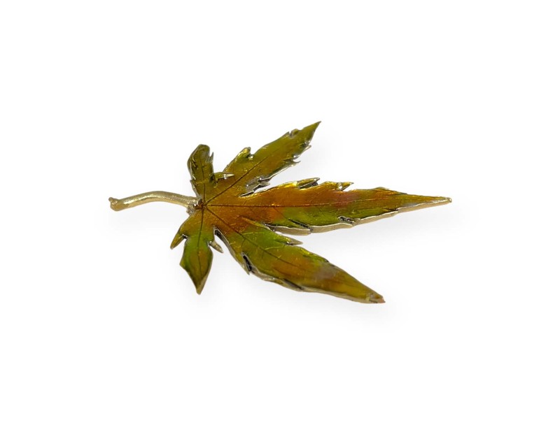 tenpai-feuille-moyenne-2