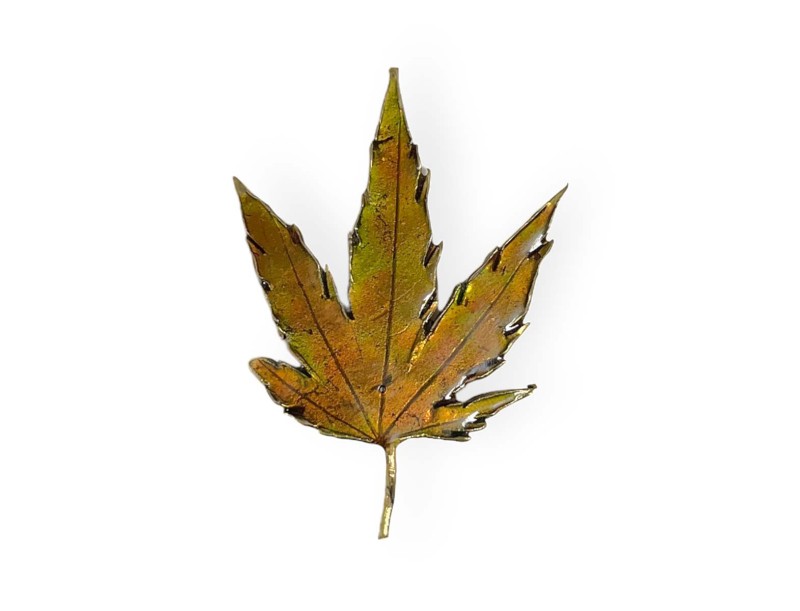 tenpai-medium-leaf-3