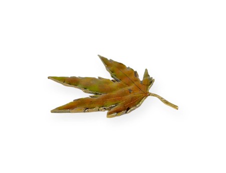 tenpai-feuille-moyenne-3