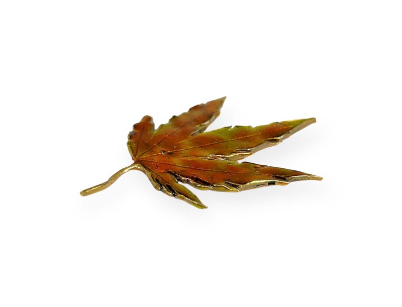 tenpai-feuille-moyenne-3