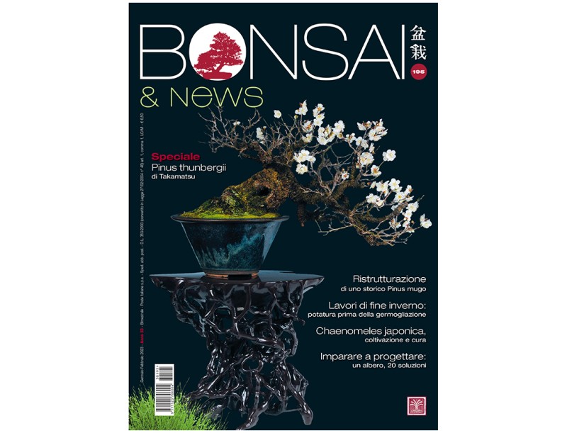 BONSAI & news 195 janvier-février 2023