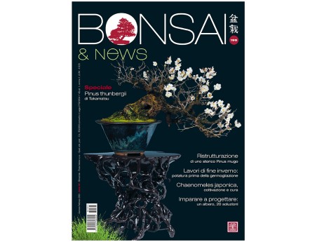 BONSAI & news 195 January-February 2023
