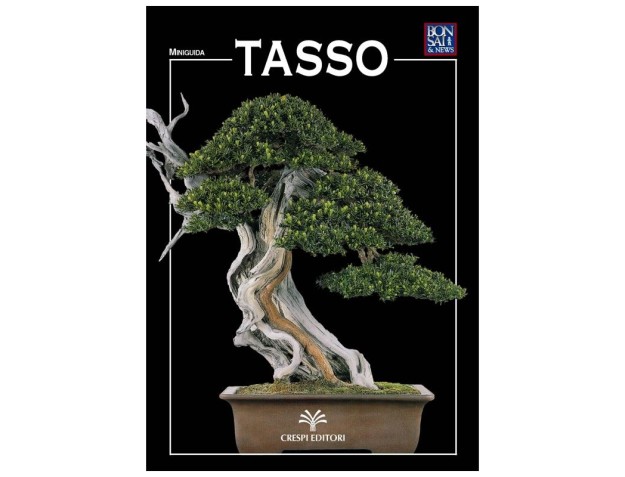 Tasso - Miniguida BONSAI & news