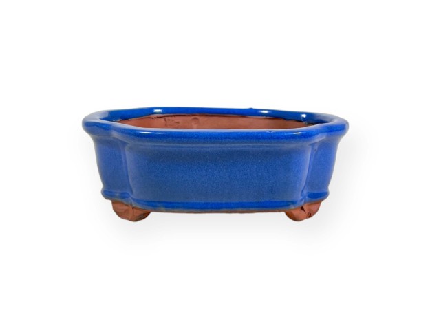 Pot 15,5 cm
