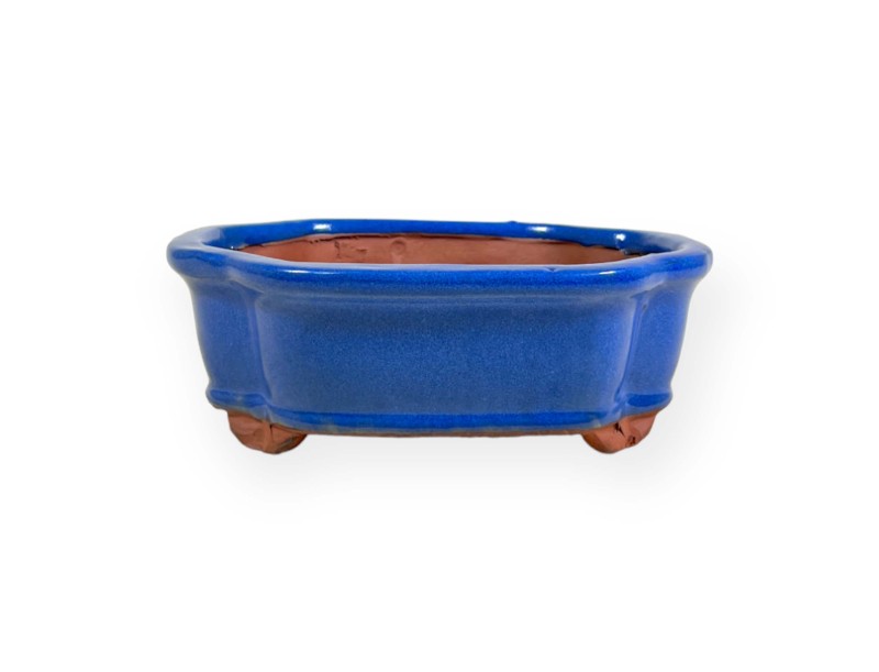 Pot 15,5 cm