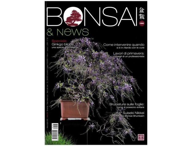 BONSAI & news 196 mars-avril 2023