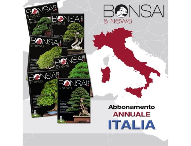 Abbonamento annuale BONSAI & news - ITALIA