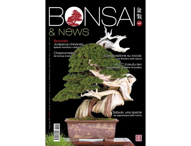 BONSAI & news 197 May-June 2023