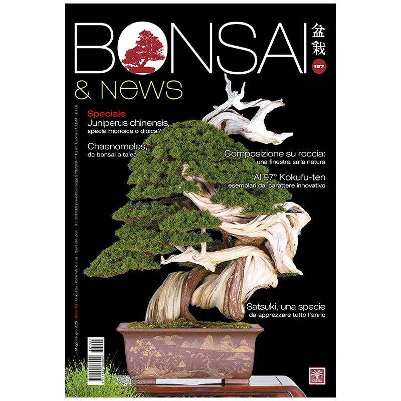 BONSAI & news 197 May-June 2023