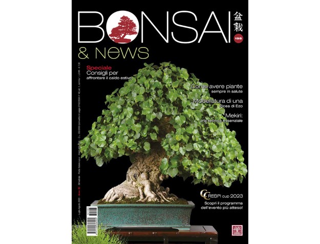BONSAI & news 198 July-August 2023