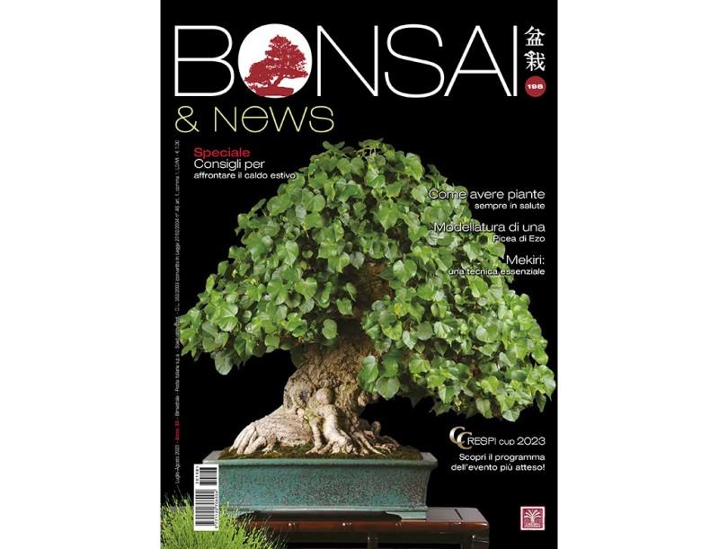 BONSAI & news 198 July-August 2023