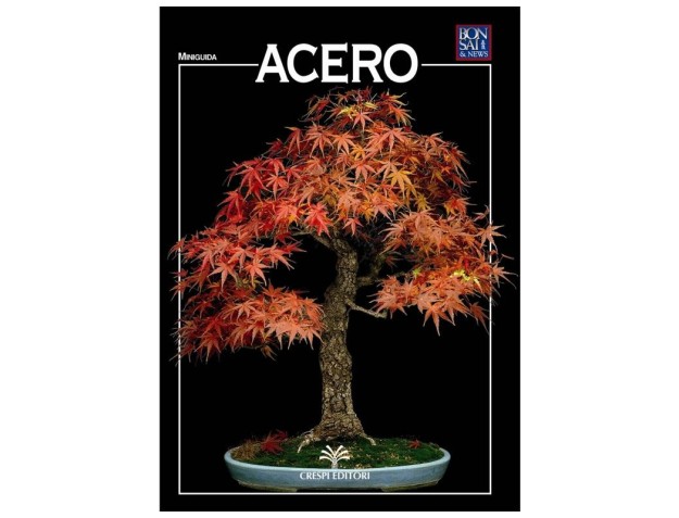 Acero - Miniguida BONSAI & news