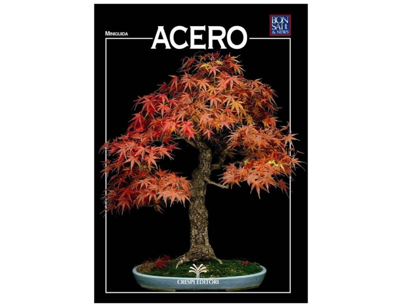 Acero - Miniguida BONSAI & news