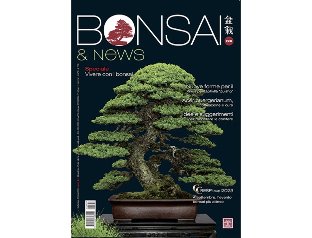 BONSAI & news 199 September-October 2023
