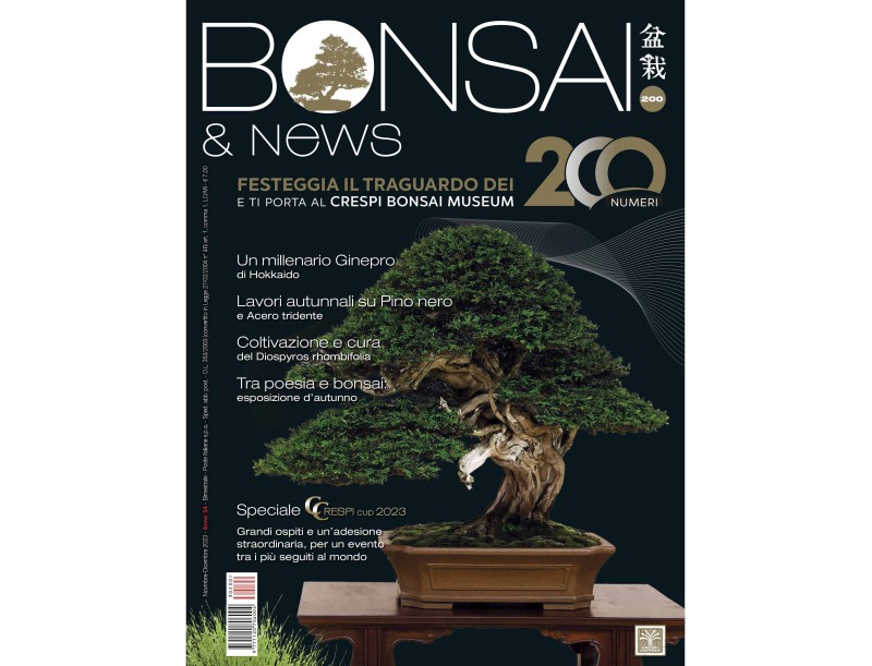BONSAI & news 200 November-December 2023