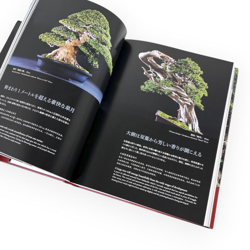 The world of Bonsai Artist Kunio Kobayashi - Kunio Kobayashi