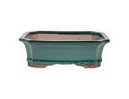 Pot 21 cm rectangulaire vert