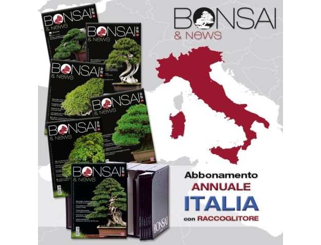 Abbonamento annuale con raccoglitore ITALIA BONSAI & news