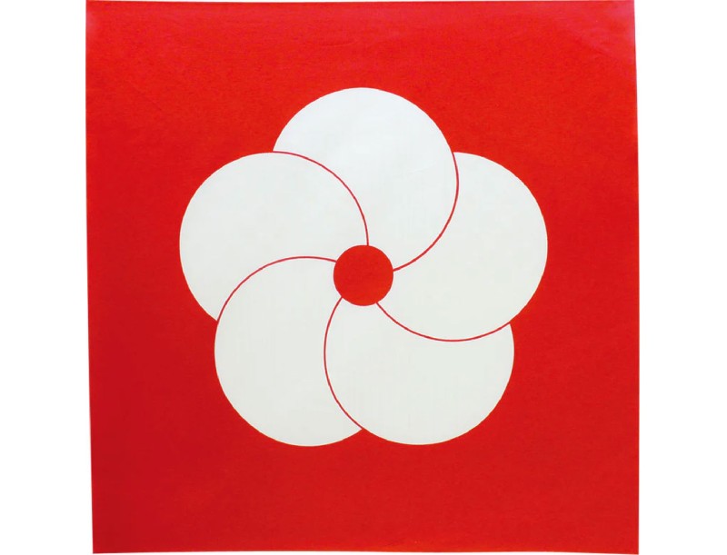 Furoshiki 70 cm - Pino Bambú Prunus Rojo